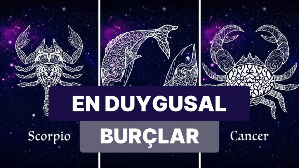 Ulaş Utku Bozdoğan: Yengeç, Akrep ve Balıklar Buraya: Su Burçlarını Daha Uygun Tanımanızı Sağlayacak Özellikleri 77