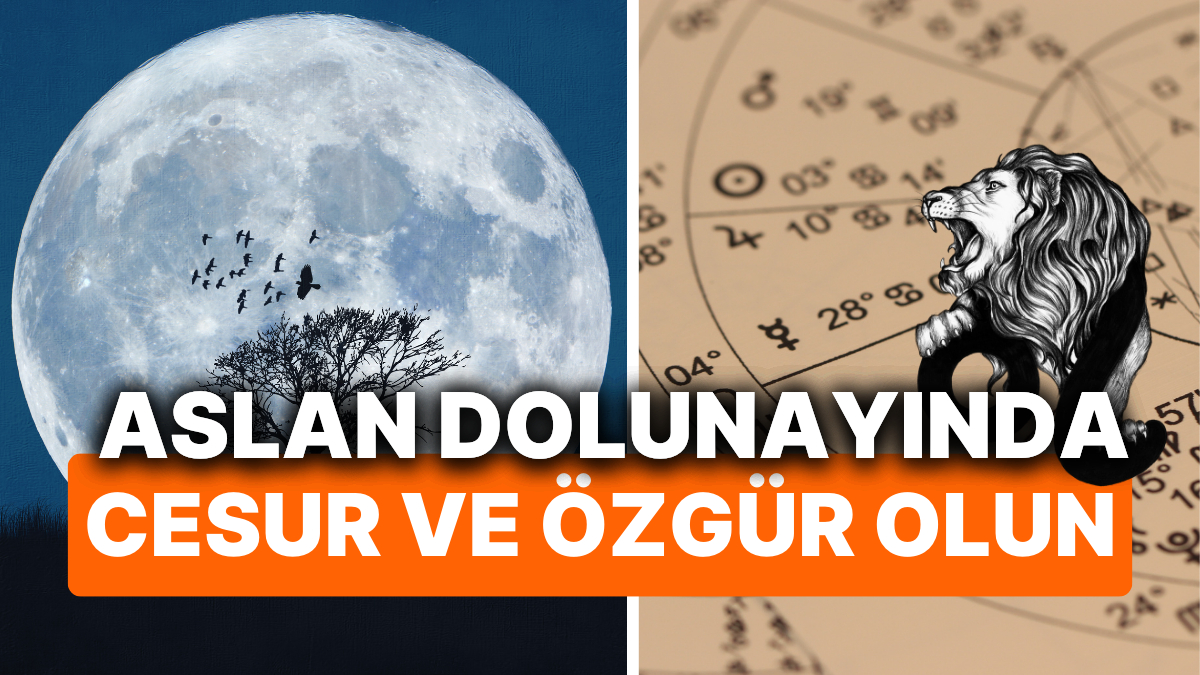 Aslan Burcunda Dolunay: 12 Şubat 2025’in Etkileri