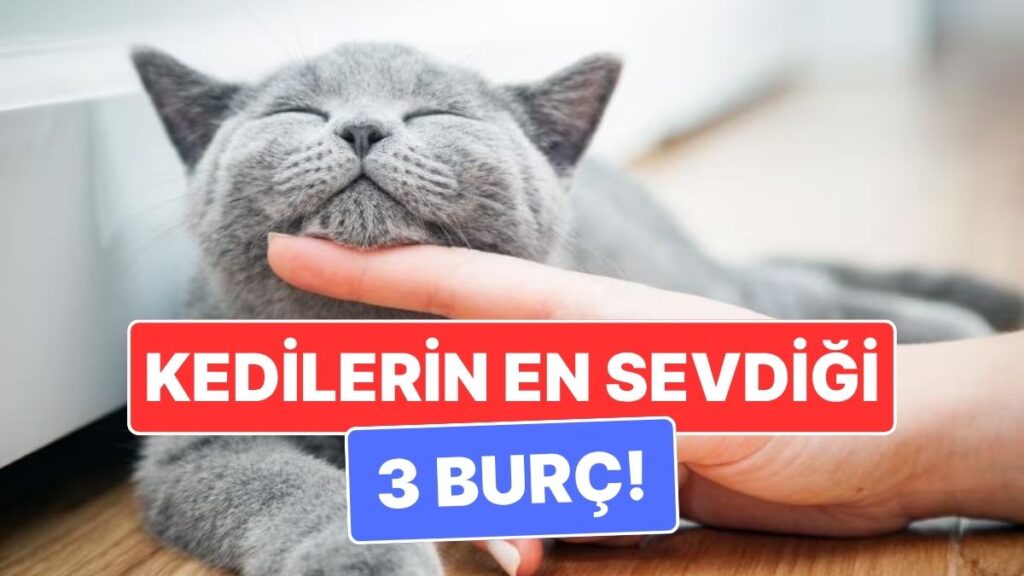 Ulaş Utku Bozdoğan: 2025 yılı için 3 burçta kedilerle uyum: Ay-Gün Bazlı Astrolojik Perspektif 1