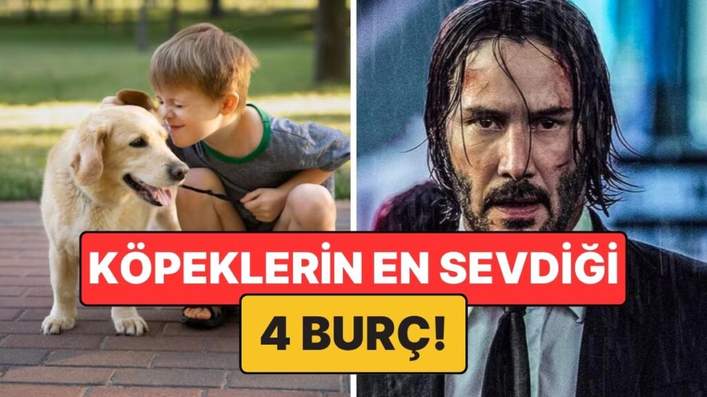 Ulaş Utku Bozdoğan: Ocak 12 2025 için Köpek Burçları Rehberi: Astrolojik Derinleşme ve 2025 Analizi 1